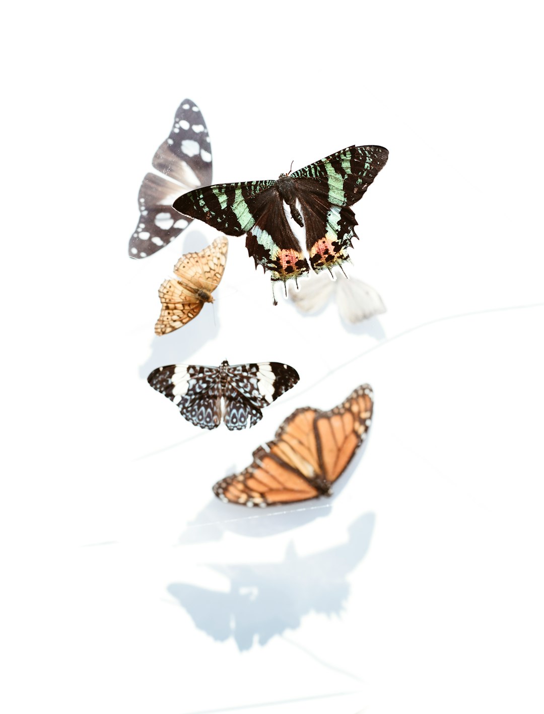 Beauty transformation journey